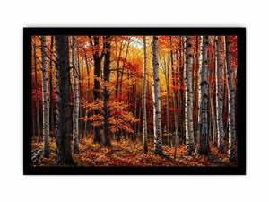 Hardwood Forests Canvas Print