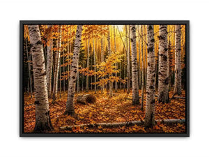 Yellow Forest Canvas Print