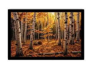 Yellow Forest Canvas Print