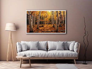Yellow Forest Canvas Print