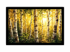 Birch Trees Canvas Print