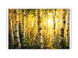 Birch Trees Canvas Print