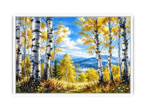 Birch Trees Canvas Print