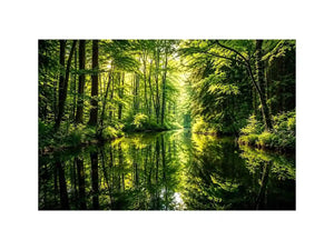 Forest Lake Canvas Print