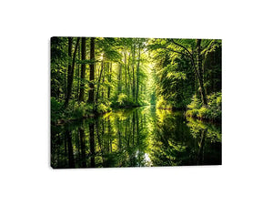 Forest Lake Canvas Print