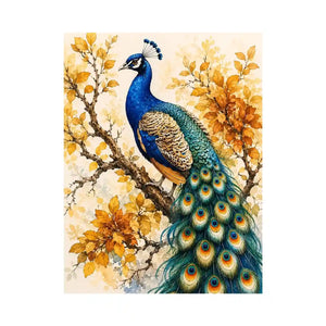 Peacock Canvas Print