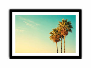 Palm Trees vintage Canvas Print