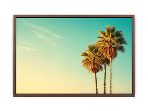 Palm Trees vintage Canvas Print