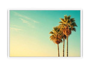 Palm Trees vintage Canvas Print