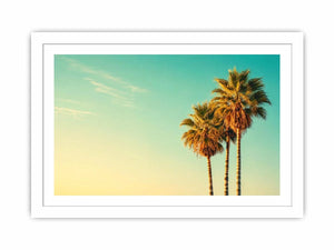Palm Trees vintage Canvas Print