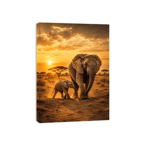 Baby Elephant Canvas Print