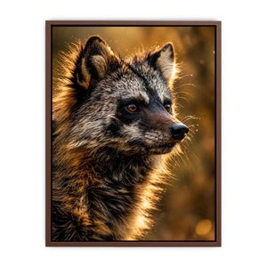 Racoon Dog Canvas Print