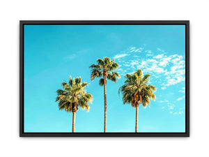 3 Palms Canvas Print