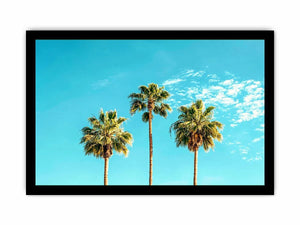 3 Palms Canvas Print