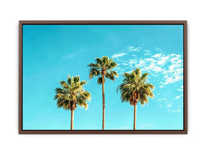 3 Palms Canvas Print