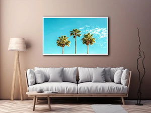 3 Palms Canvas Print