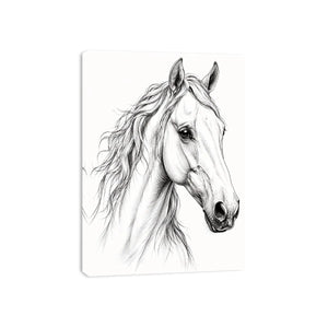Compassionate Canvas Print