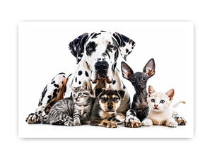 Group Photo Canvas Print