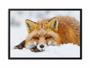 Fox canvas Print