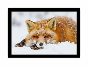 Fox framed Print