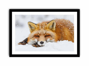 Fox framed Print