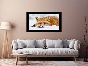 Fox Art Print