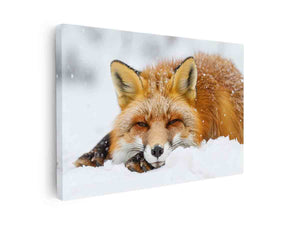 Fox canvas Print