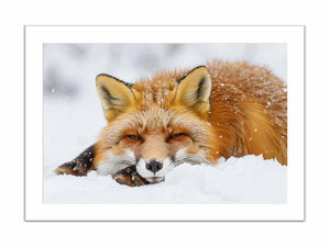 Fox framed Print