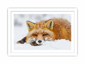 Fox framed Print