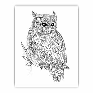 Colour Me Owl framed Print