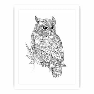Colour Me Owl framed Print