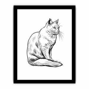 Framed Print