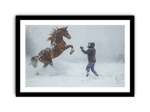 Framed Print