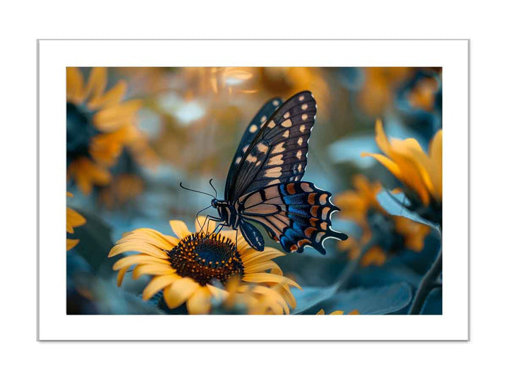 Sunflower Butterfly Art framed Print