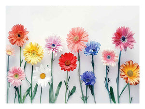Watercolor Daisies
