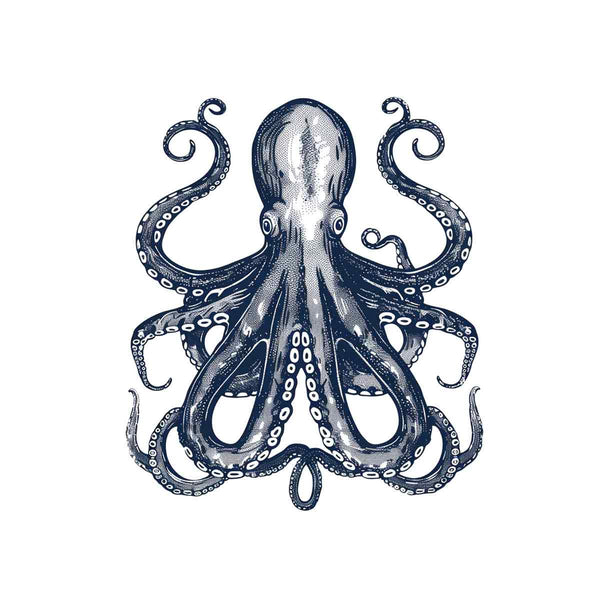 Blue Cctopus Art  Print
