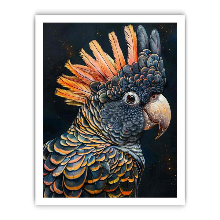Cockatoo Black framed Print