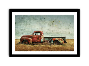 Framed Print