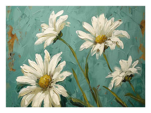 White daisies