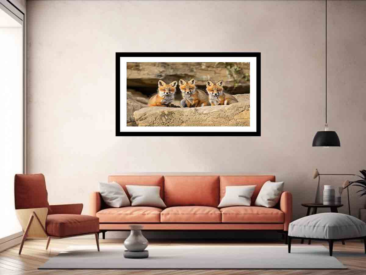 Three Red Fox