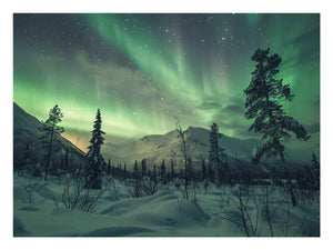 Northern Lights