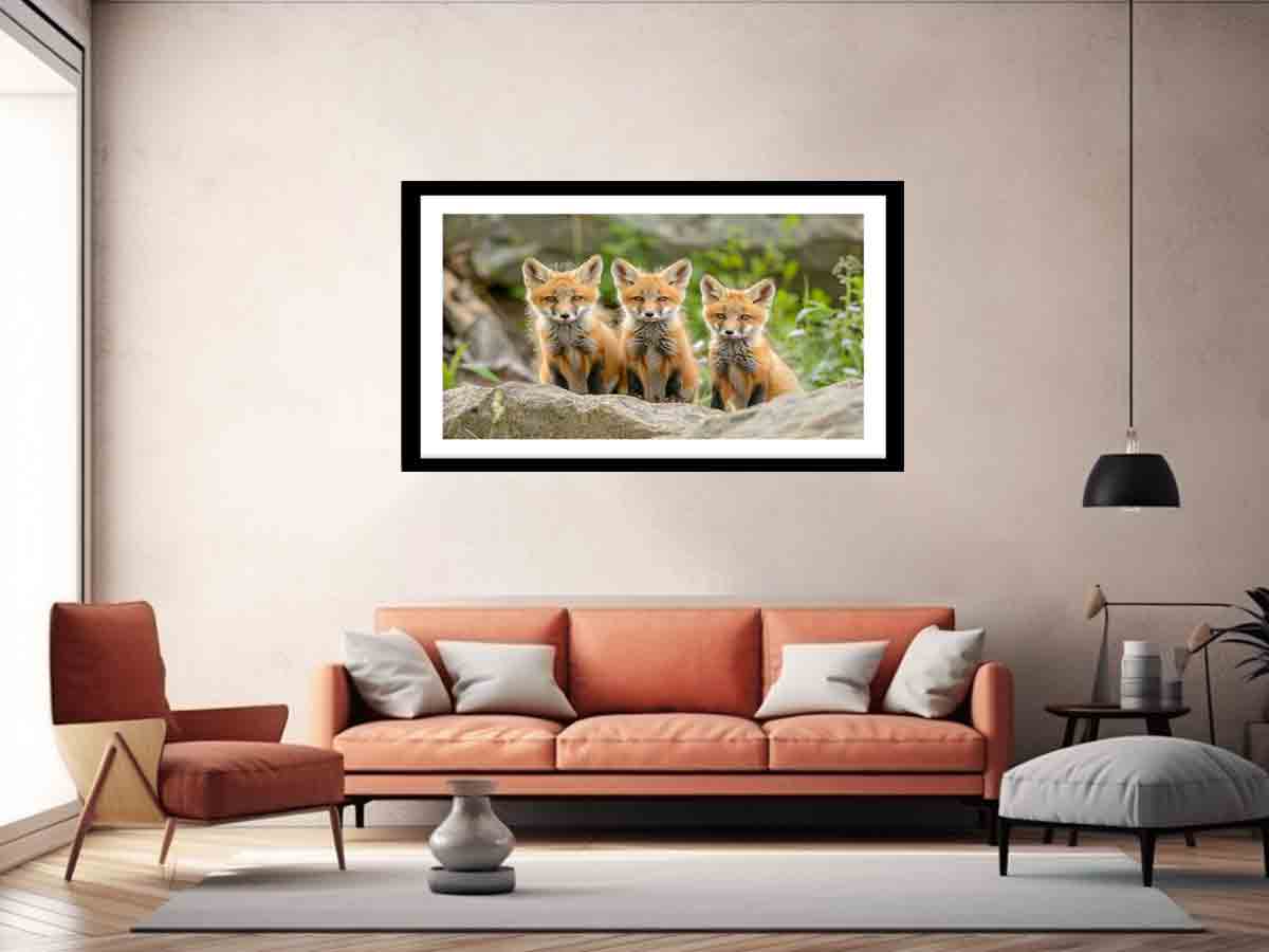 Red Fox Art Print