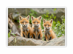 Red Fox Art Painting
