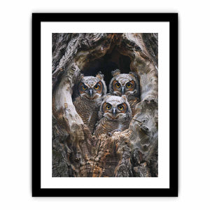 Framed Print