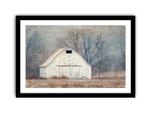 Framed Print