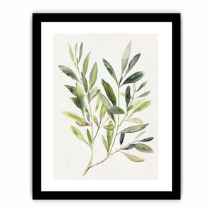 Framed Print