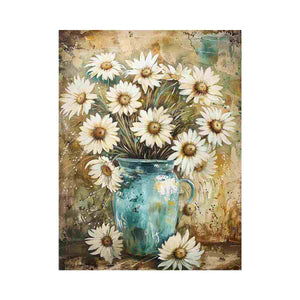 Daisy Blooms