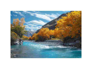New Zealand River