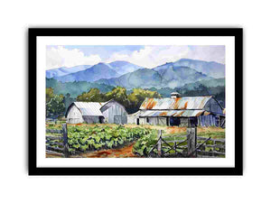 Framed Print