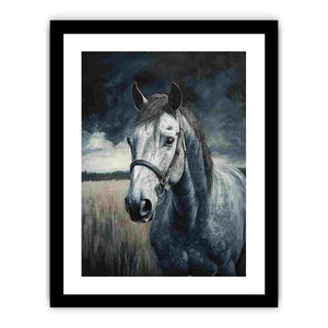 Framed Print